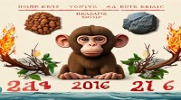 2016年属猴人五行究竟属什么？命理深度解析来揭秘