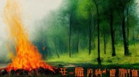 五行 火和木