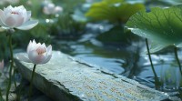 五行是水的字解释