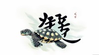 龟字五行属金还是水？五行划分依据何在？