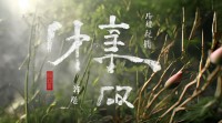 斋字五行属何？其五行来源与文化内涵是什么？