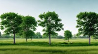 7在五行中究竟属哪一行？五行理论如何解读数字7的属性？