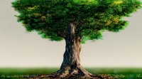 钊的五行属性是什么？命理中对其五行划分有何讲究？