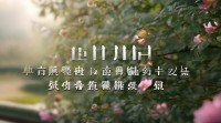 如何挑选带香字的优雅网名？大全推荐与灵感