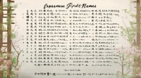 给宠物取日本名字大全，有哪些好听又地道的名字推荐？