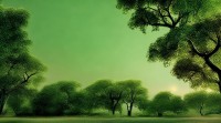 五行喜木却缺火，对健康事业有何影响？如何补火旺木？