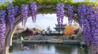 槿的五行属性究竟属于五行中的哪一行？