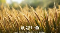 稷 五行