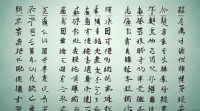 名字振开头的名字大全