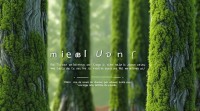 殷字五行属什么？殷朝与五行有何关联？