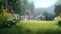想找带妍字的四字网名？有哪些寓意好听又独特的精选推荐呢