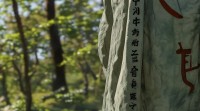五行九画木的字