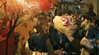 夏有乔木雅望天堂为何成网名？藏着怎样的情感共鸣？