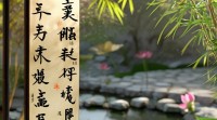 苁五行究竟为何？它与传统五行理论的关联与区别是什么？