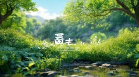 润六月五行有何讲究？