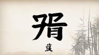 五行7画属木的字有哪些？具体有哪些汉字符合这一条件？