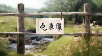 四五个字微信网名为何成主流？背后有何巧思与魅力？