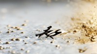 金水五行的字