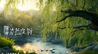 带杨字的网名如何起出意境十足又富有诗意的呢？