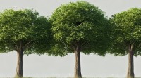 何为仃五行？五行停滞有何深意？