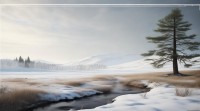 1月五行属什么？五行学说中月令五行属性如何确定？
