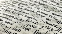 性张名字大全，究竟收录了哪些类型的名字？