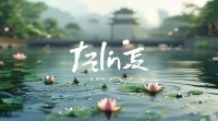 带有萍字的四字网名有哪些独特寓意与创意搭配灵感？