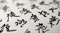 中间带训字的名字大全