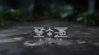 带芝字的四字网名有哪些？寓意解析、搭配技巧与推荐示例