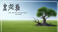 土命五行缺木会对人生运势造成哪些影响？该如何化解？