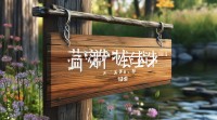 好听的重叠字网名为何让人一听就爱？有哪些独特效果和秘诀？