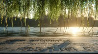 杨柳在五行中属木？五行如何影响其文化象征？