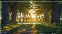 五行木旺取名需注意什么？如何通过名字平衡五行调和命局？