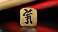 玮字五行属