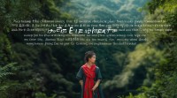 五行缺火 戴什么