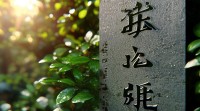 五行属木 起名
