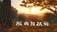 锐在五行中究竟属什么？属性解析与关联