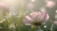 花落开头的五字网名